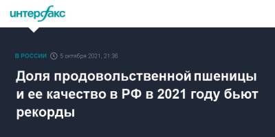 Юлия Королева - Доля продовольственной пшеницы и ее качество в РФ в 2021 году бьют рекорды - interfax.ru - Москва - Россия - Алтайский край - Воронежская обл.