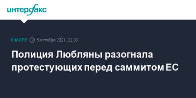 Полиция Любляны разогнала протестующих перед саммитом ЕС - interfax.ru - Москва - Словения - Любляна