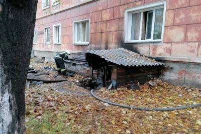 В Новосибирске два кота погибли от задымления в доме - sib.fm - Новосибирск - район Первомайский, Новосибирск