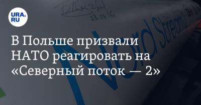 Анджей Дуда - В Польше призвали НАТО реагировать на «Северный поток — 2» - ura.news - Польша - Афганистан