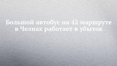 Большой автобус на 42 маршруте в Челнах работает в убыток - chelny-izvest.ru - Набережные Челны