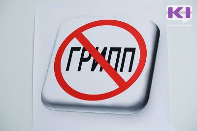 В Коми растет заболеваемость ОРВИ - komiinform.ru - респ. Коми