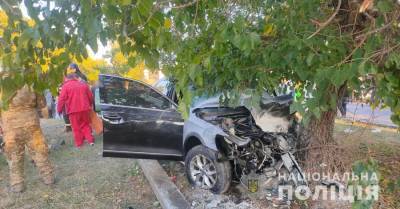 Lexus - Трое военных пострадали при ДТП в Одесской области - kp.ua - Украина - Одесса - Одесская обл.
