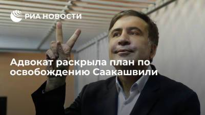 Михаил Саакашвили - Бек Басилая - Адвокат Басилая: западные страны надавят на власти Грузии и помогут освободить Саакашвили - ria.ru - Москва - Грузия
