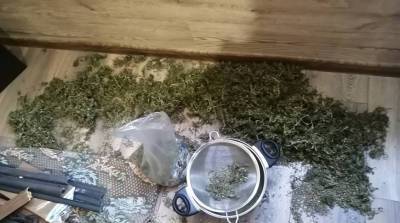 Житель Гомельского района хранил дома почти 1 кг марихуаны - belta.by - Белоруссия - Гомель - район Гомельский - район Буда-Кошелевский