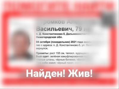 79-летнего пенсионера нашли живым в Дальнеконстантиновском районе - vgoroden.ru - Дзержинск