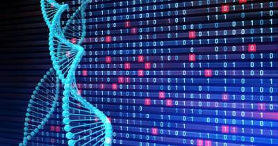Замена жестким дискам: ученые смогли записать данные в форме ДНК за считанные минуты - focus.ua - США - Украина - Данные