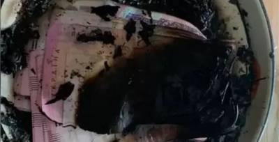 Приказали «голоса в голове»: в Днепре женщина сожгла почти 100 тысяч гривен - w-n.com.ua