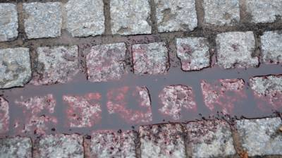 В Воронежской области парень задушил знакомого из-за долга в 4 тысячи - vestivrn.ru - Воронежская обл.