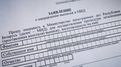 Выписки из банка данных о правонарушениях для легализации можно направить в МИД дистанционно - belta.by - Белоруссия - Минск