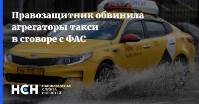 Правозащитник обвинила агрегаторы такси в сговоре с ФАС - nsn.fm