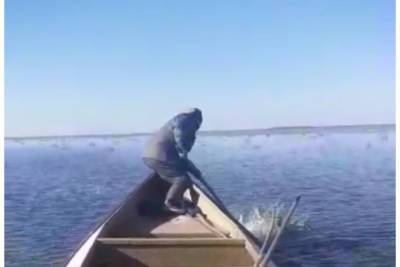 На взморье в дельте Волги человек напал на волка - ast.mk.ru - Астраханская обл.
