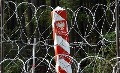 Wirtualna Polska (Польша): европарламентарии обсудили ситуацию в Белоруссии и кризис на границе с Польшей - inosmi.ru - Белоруссия - Польша