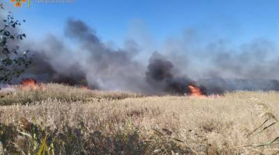 В Харьковской области вспыхнул крупный степной пожар - ru.slovoidilo.ua - Украина - Харьковская обл. - Балаклея