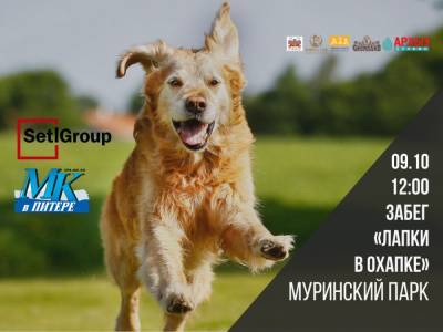 В Петрбурге пройдет марафон «Лапки в охапке» - neva.today - Санкт-Петербург - Строительство