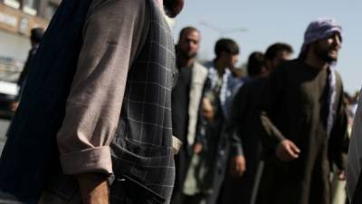Забихулла Муджахид - Талибан арестовал четырех членов ИГ к северу от столицы Афганистана - unn.com.ua - Украина - Киев - Афганистан - Джелалабад - Талибан
