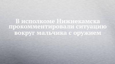 В исполкоме Нижнекамска прокомментировали ситуацию вокруг мальчика с оружием - chelny-izvest.ru - Пермь - Казань - Нижнекамск