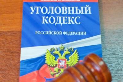 Владимир Груздев - В России предложили ужесточить наказание за регулярные побои - aif.ru - Россия