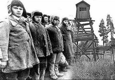 Как на самом деле Хрущёв реабилитировал жертв Сталинского режима - Русская семеркаРусская семерка - russian7.ru