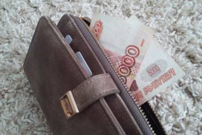 Владимир Владимиров - К 2030 году на Ставрополье планируют вдвое увеличить среднюю зарплату - kavkaz.mk.ru - Ставрополье