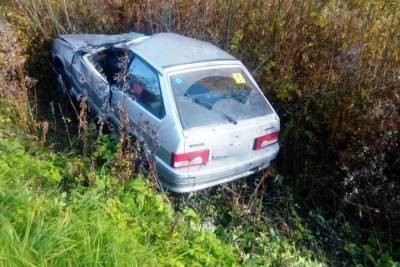 Для костромской автоледи встреча с лосем закончилась в кювете - kostroma.mk.ru - Кострома