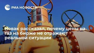 Владимир Путин - Александр Новак - Новак: цены на газ на бирже не отражают реальной ситуации, не обошлось без спекулянтов - smartmoney.one - Россия - США