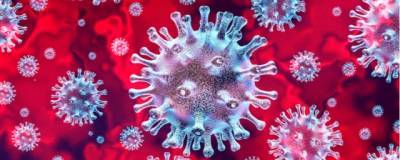 Питер Дасзак - The Telegraph: ученые занимались разработкой коронавирусов еще до нынешней пандемии - runews24.ru - Китай - США - Ухань