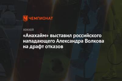 Бэй Лайтнинг - Александр Волков - Эллиотт Фридман - «Анахайм» выставил российского нападающего Александра Волкова на драфт отказов - championat.com - Россия