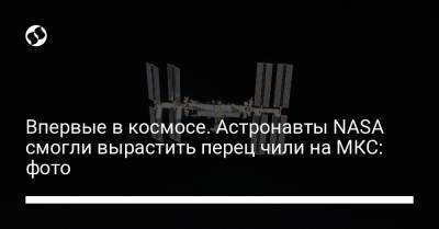 Впервые в космосе. Астронавты NASA смогли вырастить перец чили на МКС: фото - liga.net - Украина