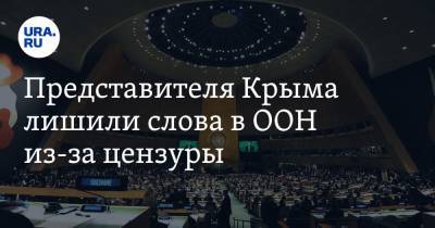 Роман Чегринец - Представителя Крыма лишили слова в ООН из-за цензуры - ura.news - Крым