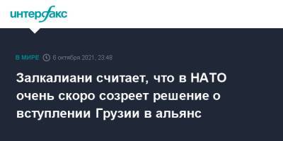Давид Залкалиани - Залкалиани считает, что в НАТО очень скоро созреет решение о вступлении Грузии в альянс - interfax.ru - Москва - Грузия