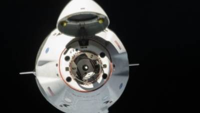 Космонавт из России может полететь к МКС на Crew Dragon осенью 2022 года - inforeactor.ru - Москва - Россия - США - шт.Флорида