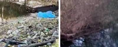 Новосибирцы достали из реки Каменка 16 мешков мусора - runews24.ru - Новосибирск - район Дзержинский, Новосибирск