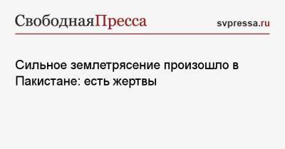 Сильное землетрясение произошло в Пакистане: есть жертвы - svpressa.ru - США - Япония - Приморье край - Пакистан