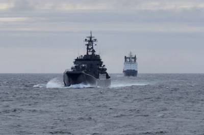 Сергей Шойгу - В России могут создать Арктический флот - ТАСС - aif.ru - Россия