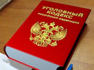 Серийного похитителя видеоигр выследила полиция на Сахалине - sakhalin.info - Россия - Южно-Сахалинск