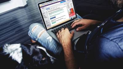 Суд оштрафовал жителя Воронежской области за размещение нацистской символики в интернете - vestivrn.ru - Воронежская обл.
