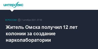 Житель Омска получил 12 лет колонии за создание нарколаборатории - interfax.ru - Москва - Омск