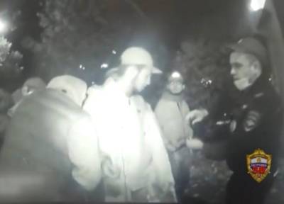 В Москве арестованы трое приезжих, жестоко избивших человека в полном вагоне метро - province.ru - Москва - респ. Дагестан