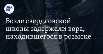Возле свердловской школы задержали вора, находившегося в розыске - ura.news - Россия - Екатеринбург - Свердловская обл. - Уральск