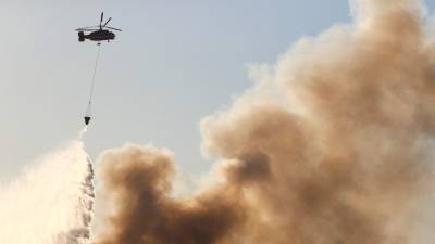 Российские военные помогли сирийским спасателям потушить пожар в горах - 5-tv.ru - Сирия