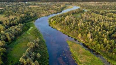 В Чернобыльском заповеднике заметили грызуна родом из Южной Америки (ФОТО) - enovosty.com - Украина