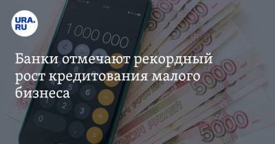 Банки отмечают рекордный рост кредитования малого бизнеса - ura.news