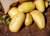 Александр Мясников - Эта ошибка при приготовлении картофеля может привести к сильному отравлению - udf.by - Россия