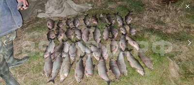 На Ямале задержаны браконьеры с ценной рыбой на сумму более ₽10 млн - znak.com - Россия - окр. Янао - район Приуральский
