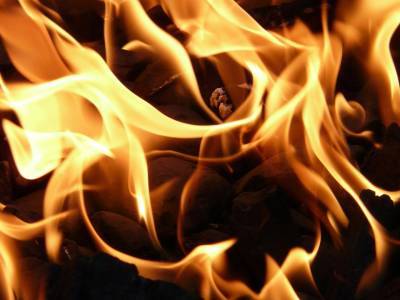 Стало известно о гибели мужчины на пожаре в Рыбновском районе - 7info.ru - Россия - Рязанская обл.
