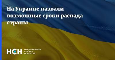 Евгений Мураев - Дмитрий Кулебы - На Украине назвали возможные сроки распада страны - nsn.fm - Россия - Украина