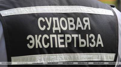 Житель Лунинецкого района хранил дома два штыка к раритетным винтовкам - belta.by - Белоруссия - Франция - район Лунинецкий