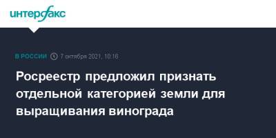 Вениамин Кондратьев - Росреестр предложил признать отдельной категорией земли для выращивания винограда - interfax.ru - Москва - Краснодарский край