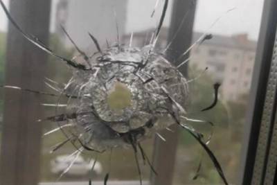 Во время стрельбы по бутылкам из пневматики студент попал в окно петербургской гимназии - runews24.ru - Санкт-Петербург